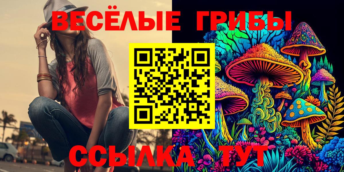 Киселёвск  Галлюциногенные грибы мухоморы  Вход с VPN  Псилоцибиновые грибы Magic Shrooms 